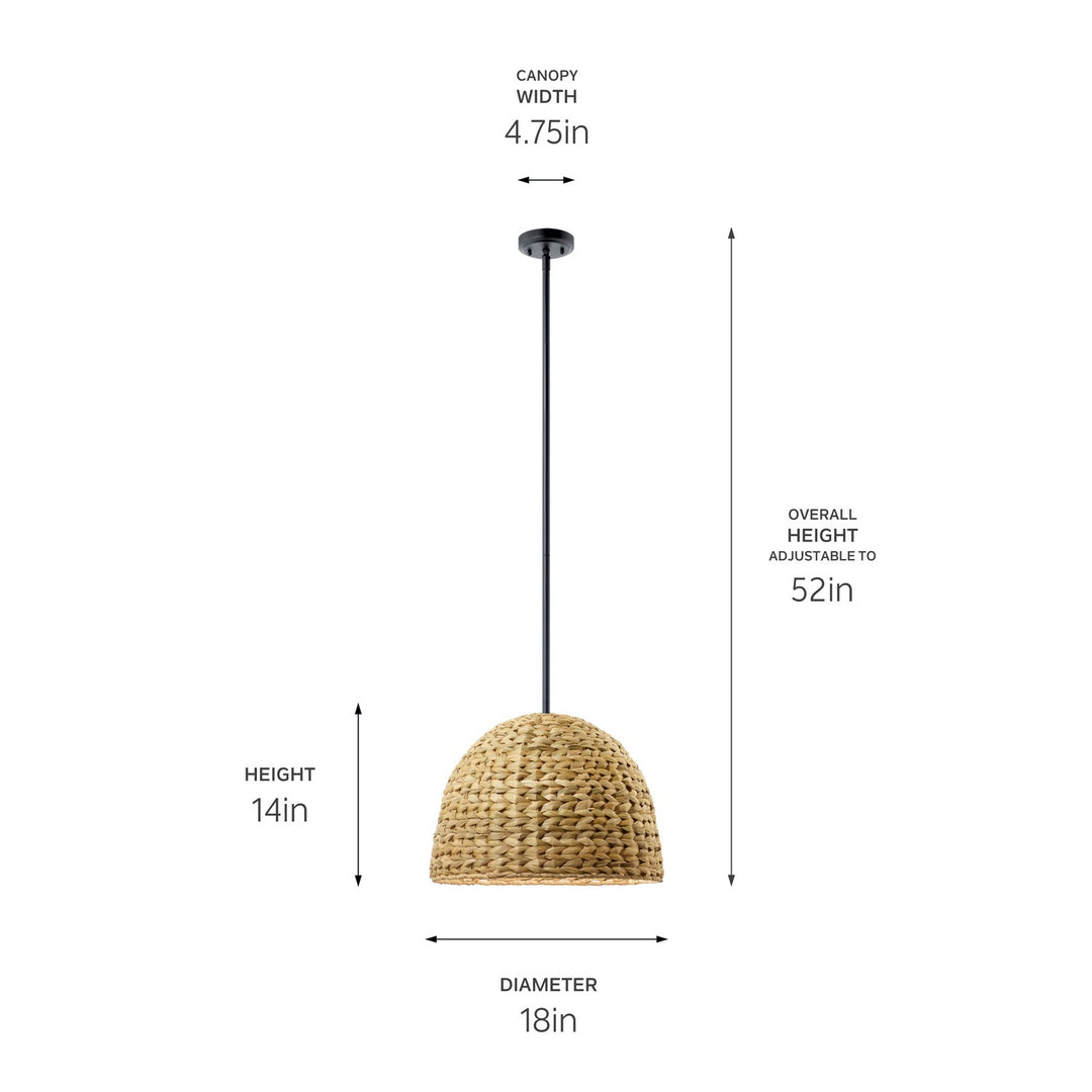 Kichler Canada - 44399BK - One Light Mini Pendant - Raffiana - Black