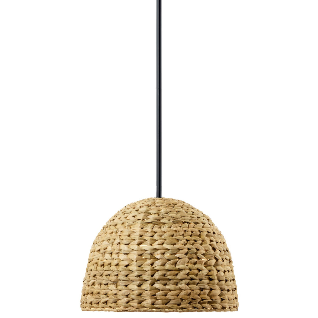 Kichler Canada - 44399BK - One Light Mini Pendant - Raffiana - Black