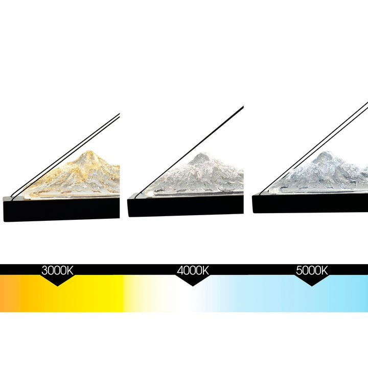 CWI Lighting Canada - 1601P62-101 - LED Chandelier - Himalayas - Black