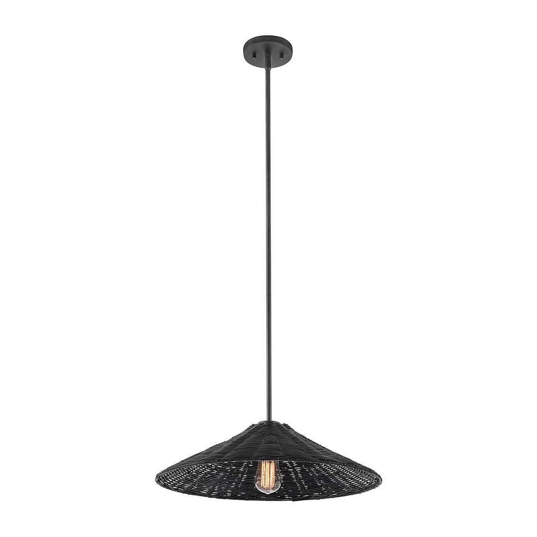 Meridian - M7041MBK - One Light Pendant - Matte Black
