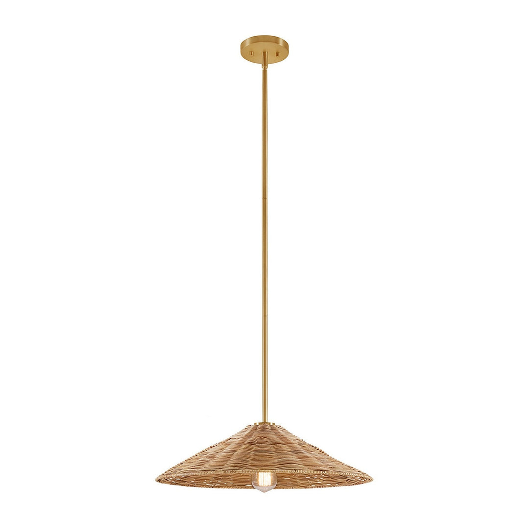 Meridian - M7041NB - One Light Pendant - Natural Brass