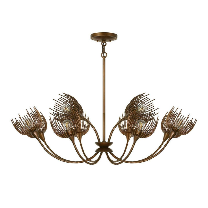 Protea 12 Light Chandelier in Manchester Savoy House