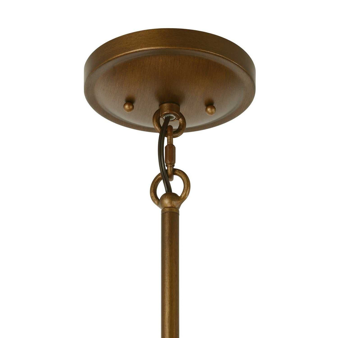 Protea 12 Light Chandelier in Manchester Savoy House