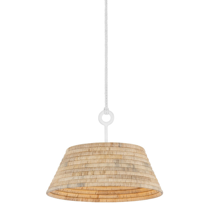 Troy Lighting Canada - F2824-GSW - Pendants - Other