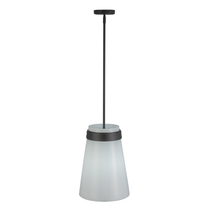 Artcraft Canada - AC10640BK - One Light Pendant - Dahlia - Black