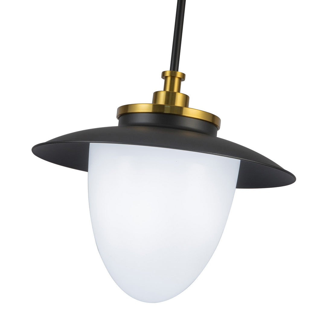 Artcraft Canada - AC11905BB - One Light Pendant - Dahlia - Black
