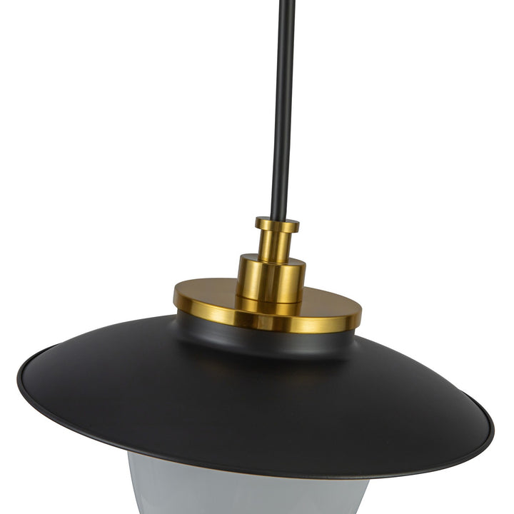 Artcraft Canada - AC11905BB - One Light Pendant - Dahlia - Black