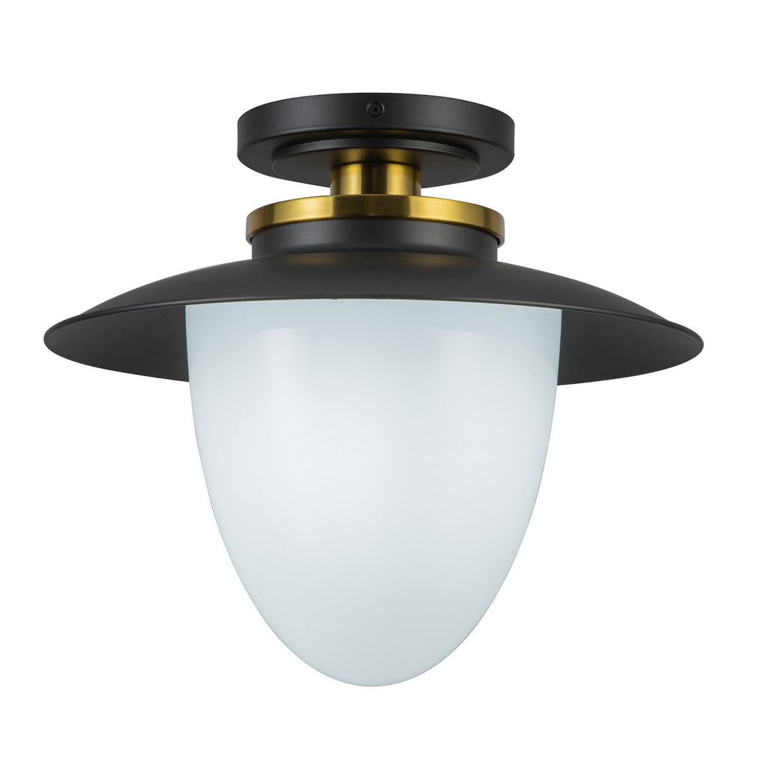 Artcraft Canada - AC11905BB - One Light Pendant - Dahlia - Black