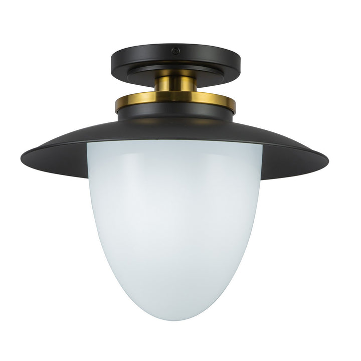 Artcraft Canada - AC11905BB - One Light Pendant - Dahlia - Black