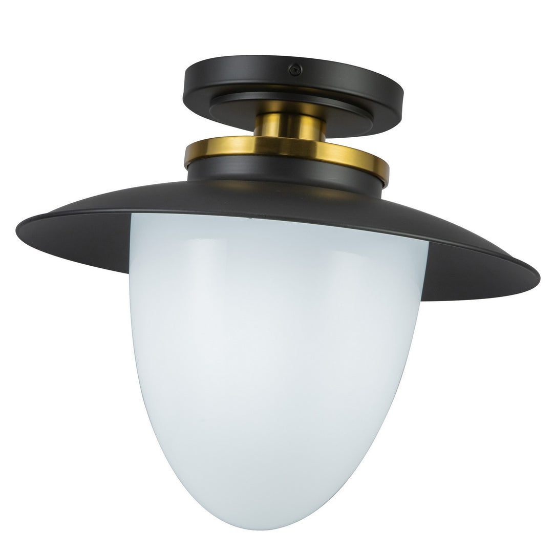 Artcraft Canada - AC11905BB - One Light Pendant - Dahlia - Black