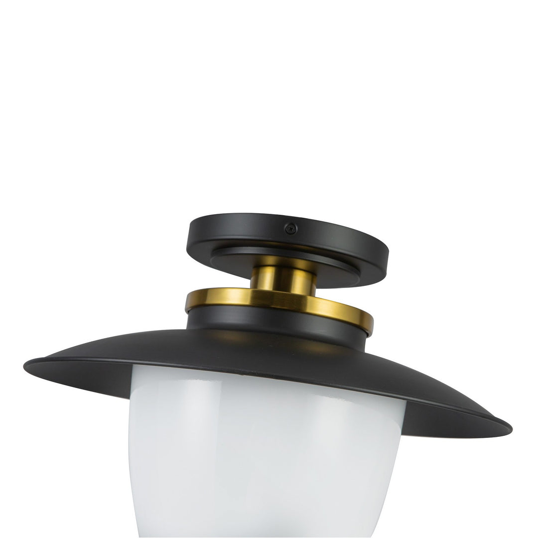 Artcraft Canada - AC11905BB - One Light Pendant - Dahlia - Black