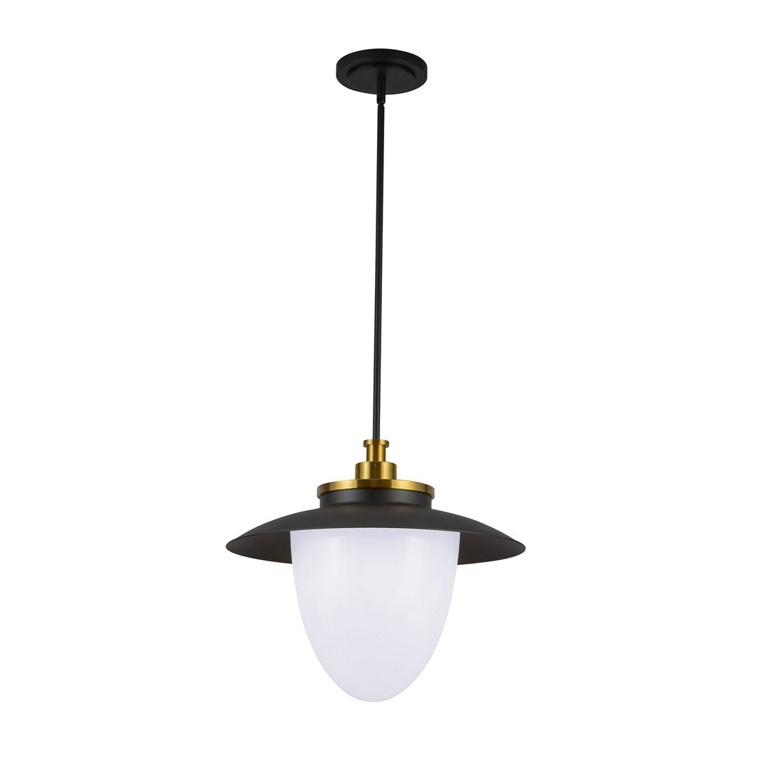 Artcraft Canada - AC11906BB - Three Light Pendant - Dahlia - Brushed Brass