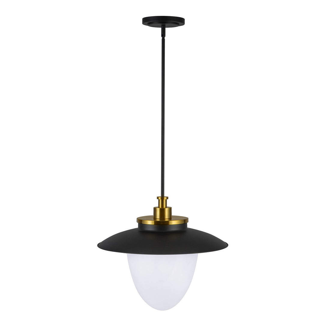 Artcraft Canada - AC11906BB - Three Light Pendant - Dahlia - Brushed Brass