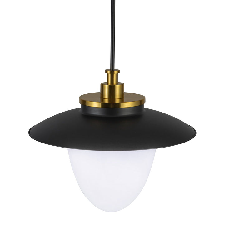 Artcraft Canada - AC11906BB - Three Light Pendant - Dahlia - Brushed Brass