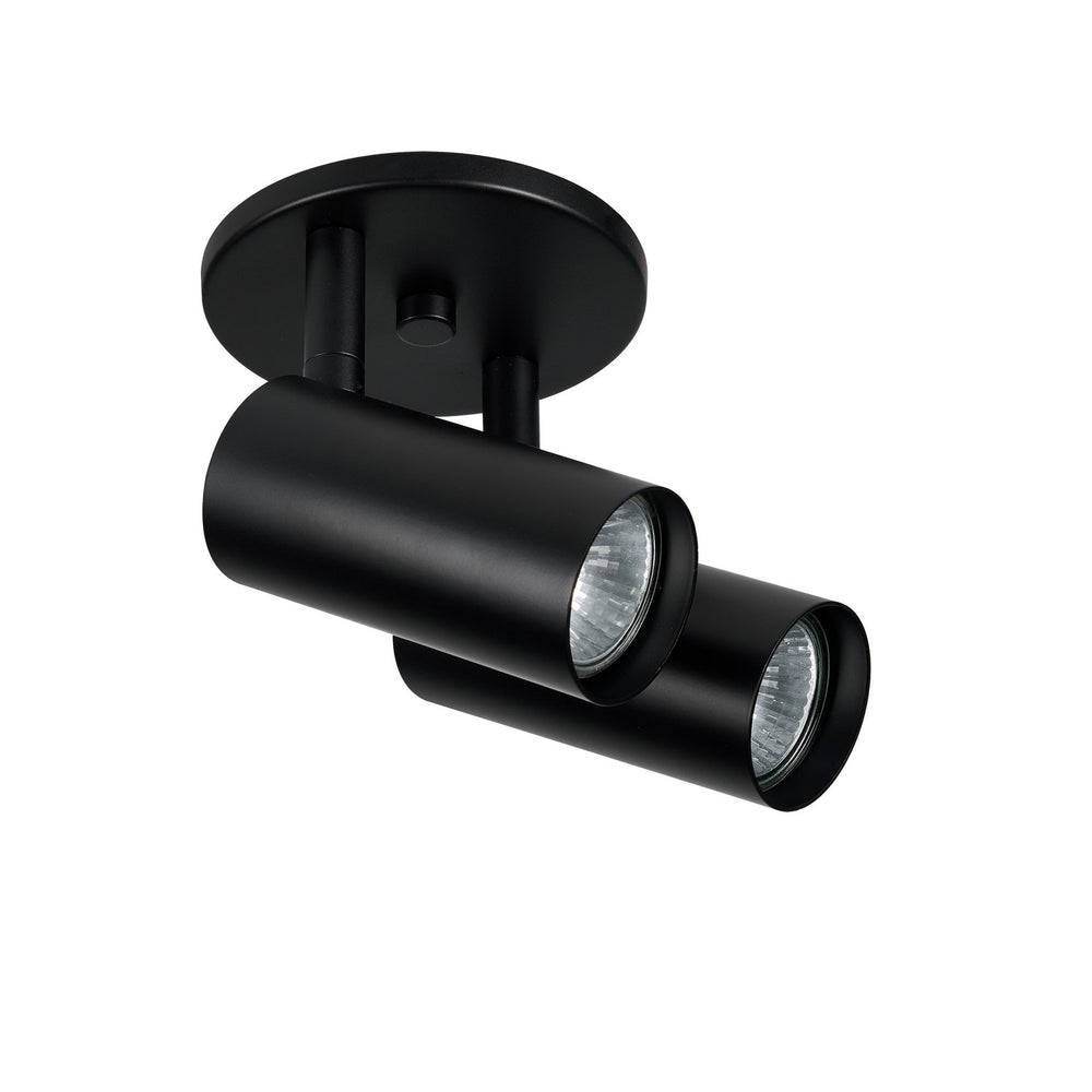 Dainolite Canada - STY-72SPT-MB - Two Light Spotlight - Stanly - Matte Black