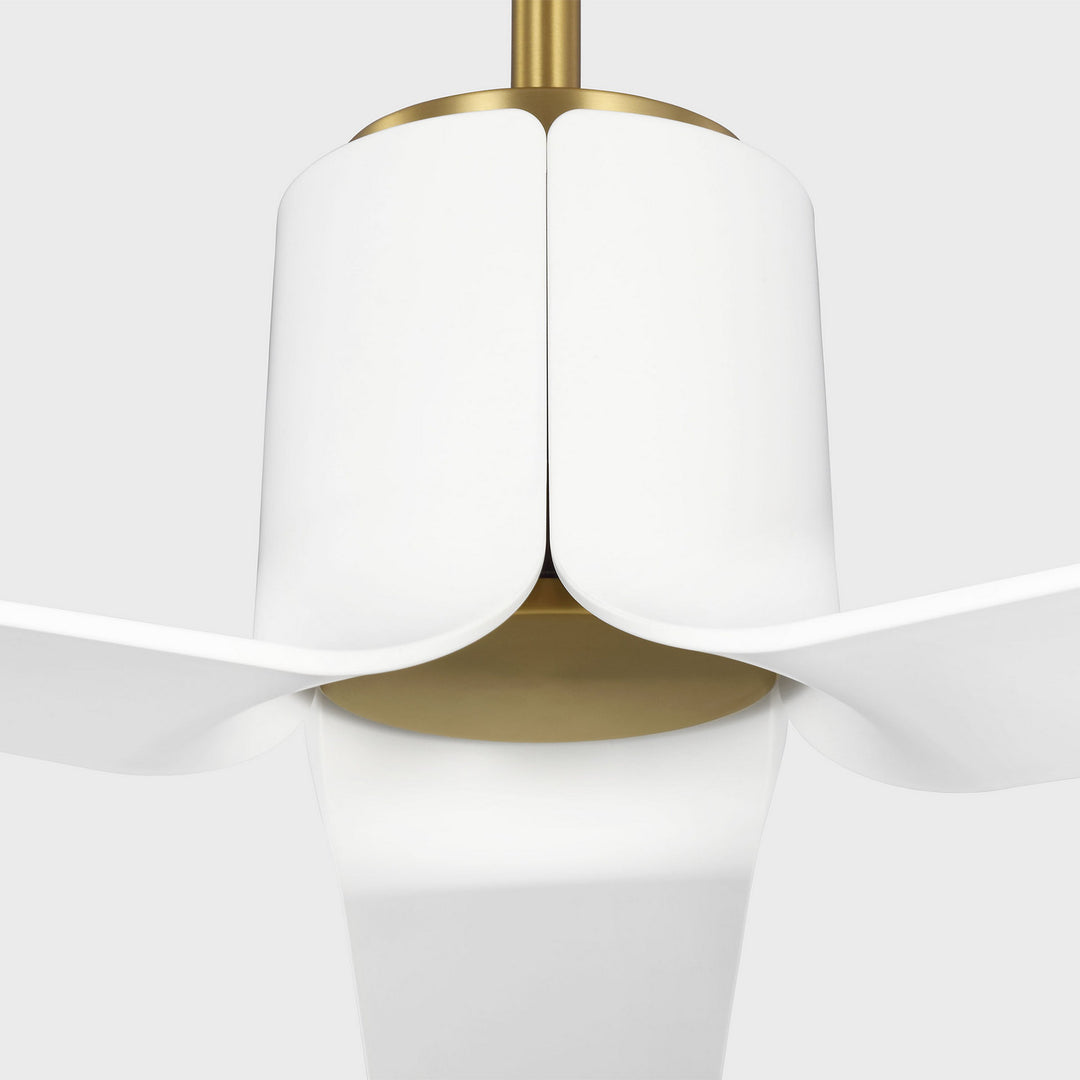 Visual Comfort Fan Canada - 3PESM52BBSD - 52" Ceiling Fan - Peel - Burnished Brass