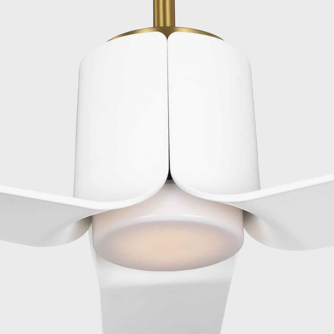 Visual Comfort Fan Canada - 3PESM52BBSD - 52" Ceiling Fan - Peel - Burnished Brass