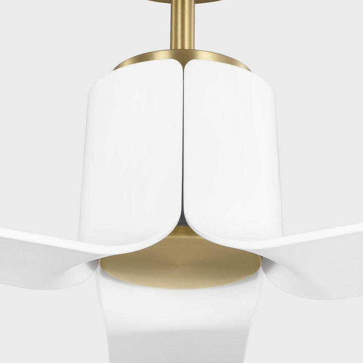 Visual Comfort Fan Canada - 3PESM66BBSD - 66" Ceiling Fan - Peel - Burnished Brass