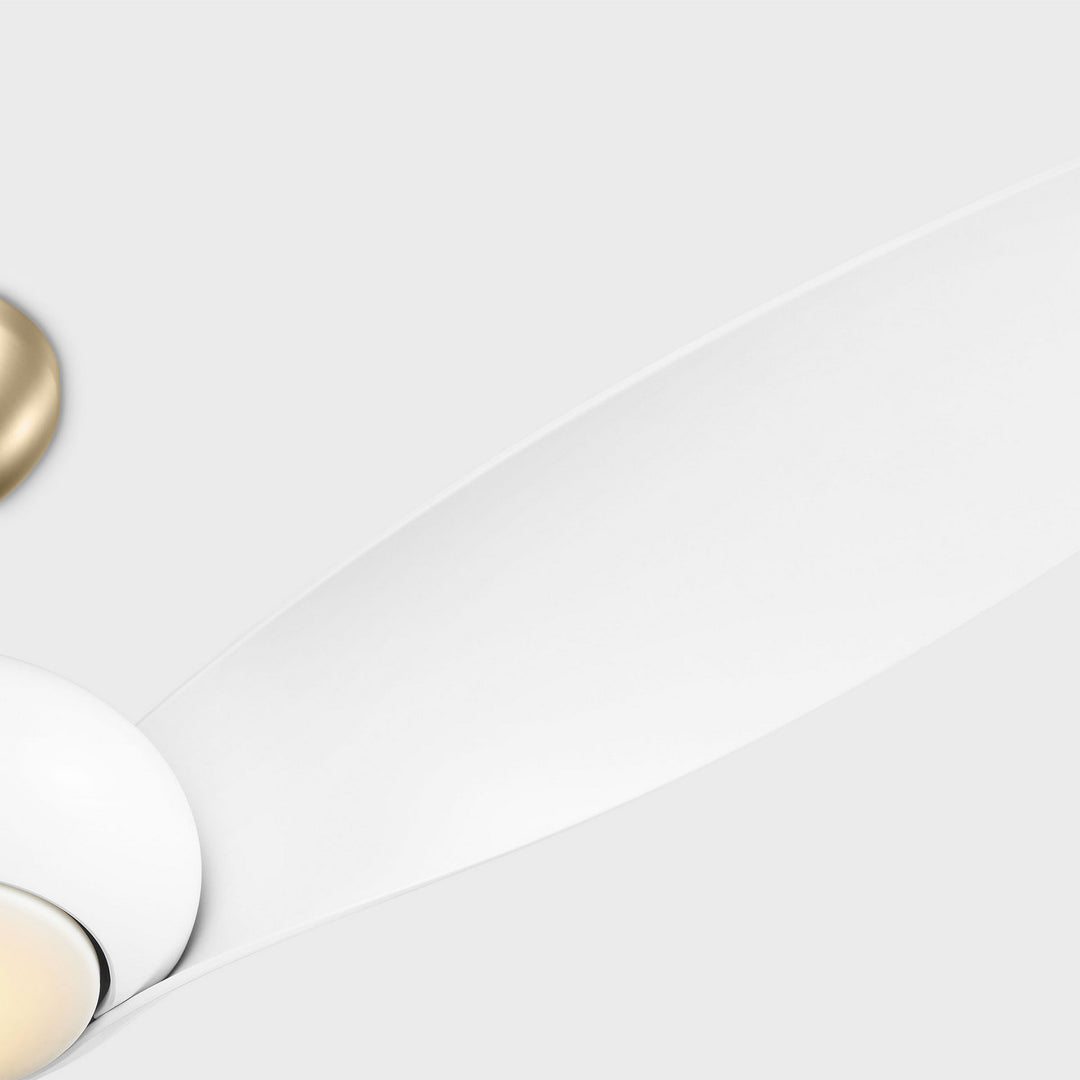 Visual Comfort Fan Canada - 3TNSM60BBSD - 60" Ceiling Fan - Topan - Burnished Brass