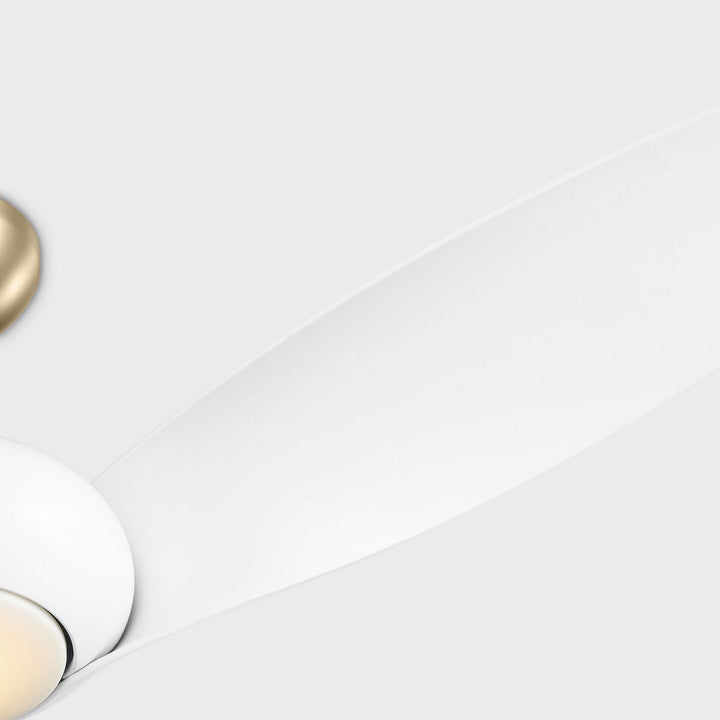 Visual Comfort Fan Canada - 3TNSM60BBSD - 60" Ceiling Fan - Topan - Burnished Brass