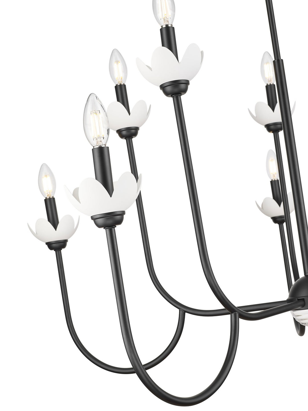 Z-Lite Canada - 352-10MB - Ten Light Chandelier - Allistair - Matte Black