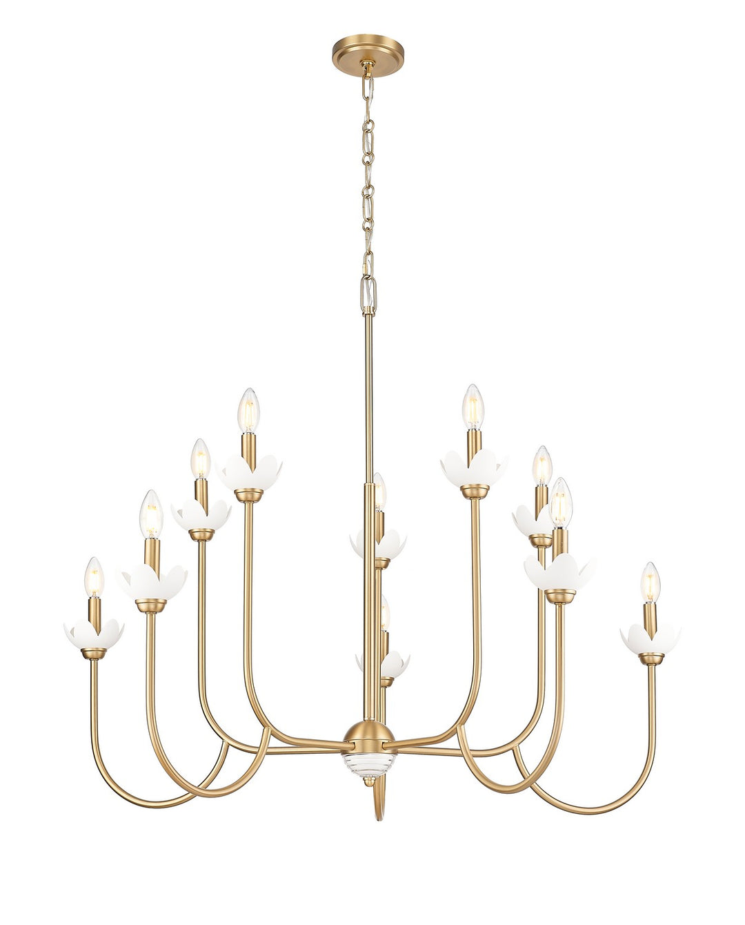 Z-Lite Canada - 352-10MGLD - Ten Light Chandelier - Allistair - Modern Gold
