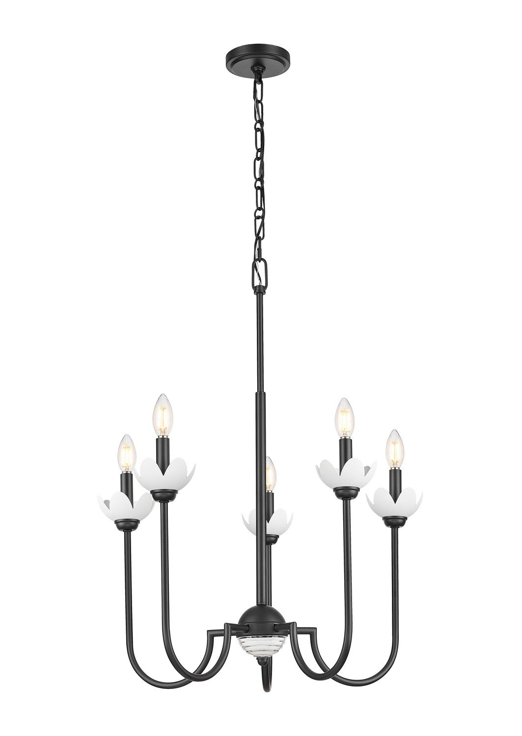 Z-Lite Canada - 352-5MB - Five Light Chandelier - Allistair - Matte Black