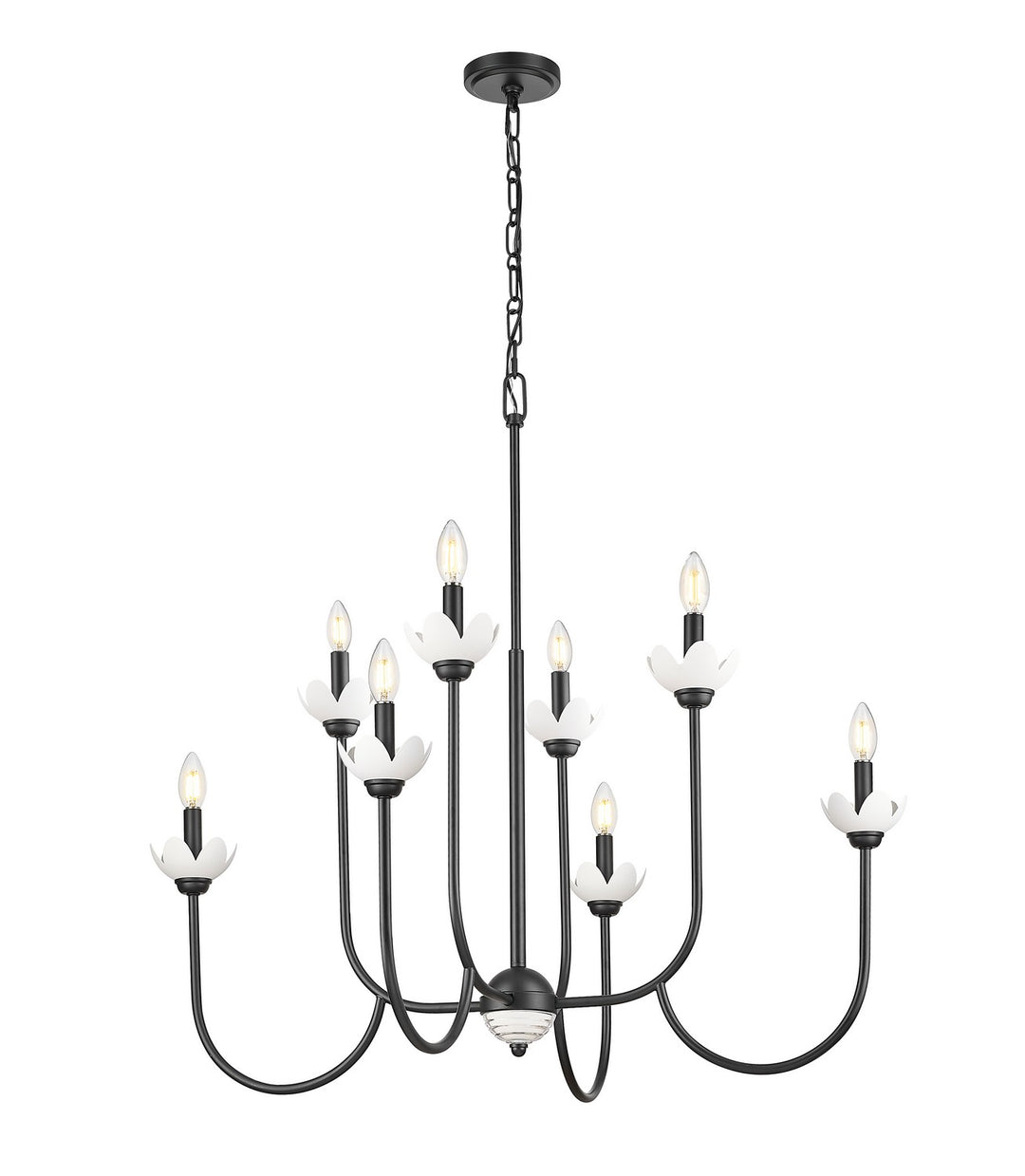 Z-Lite Canada - 352-8MB - Eight Light Chandelier - Allistair - Matte Black