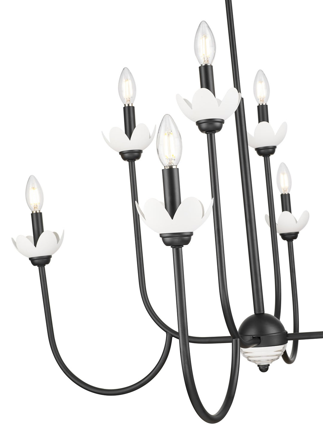 Z-Lite Canada - 352-8MB - Eight Light Chandelier - Allistair - Matte Black