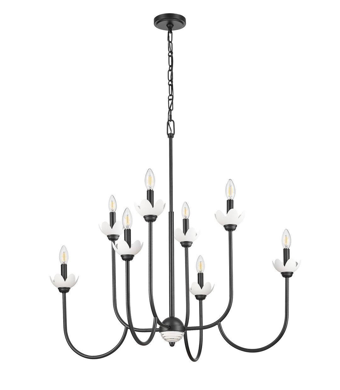 Z-Lite Canada - 352-8MB - Eight Light Chandelier - Allistair - Matte Black