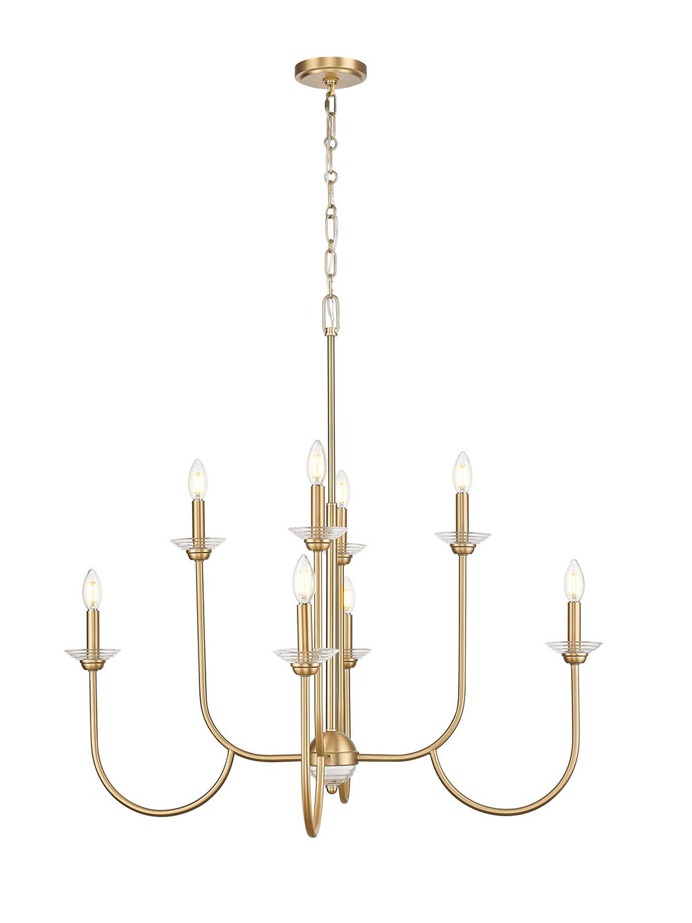 Z-Lite Canada - 352-8MGLD - Eight Light Chandelier - Allistair - Modern Gold