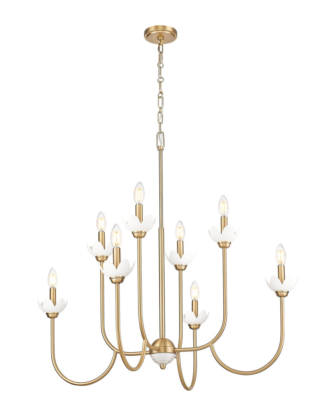 Z-Lite Canada - 352-8MGLD - Eight Light Chandelier - Allistair - Modern Gold