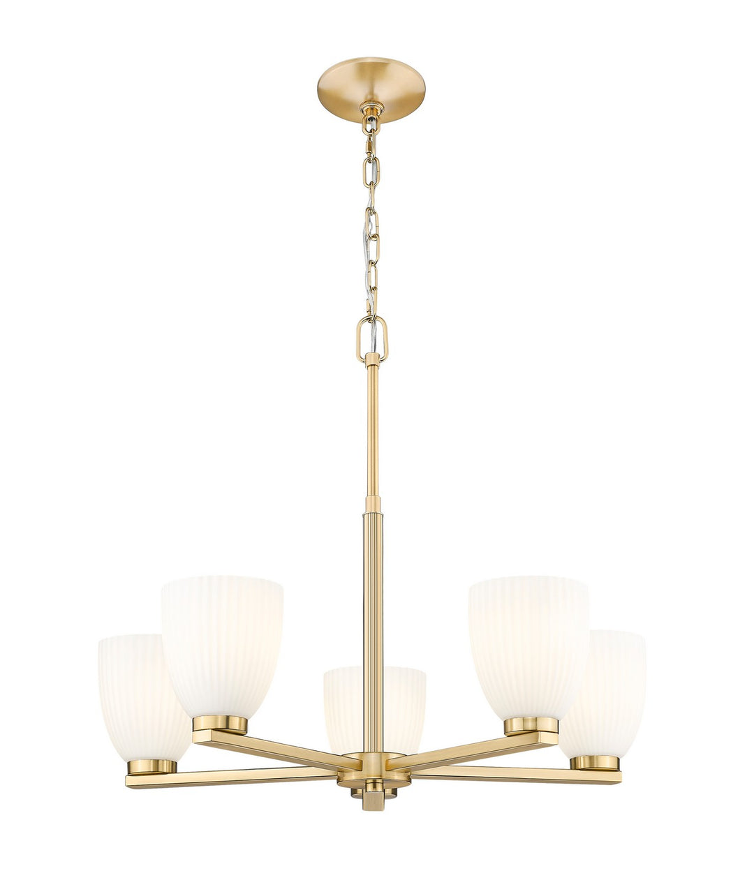 Z-Lite Canada - 7518-5MGLD - Five Light Chandelier - Naya - Modern Gold