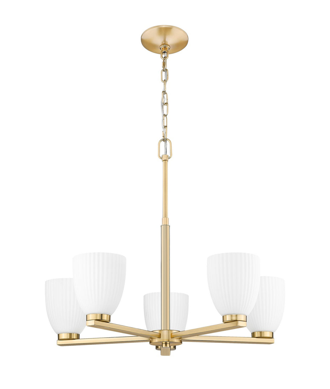 Z-Lite Canada - 7518-5MGLD - Five Light Chandelier - Naya - Modern Gold