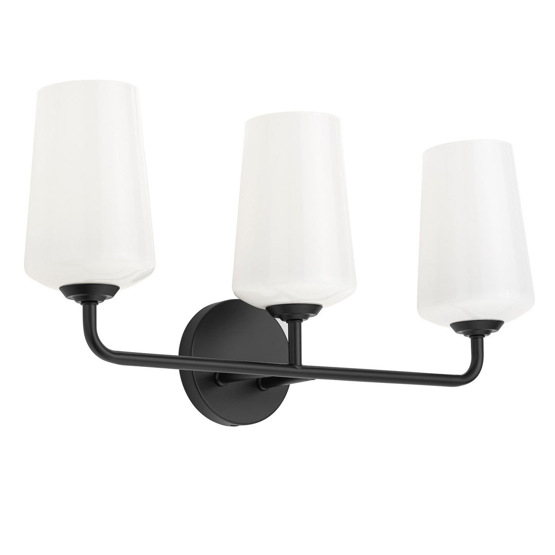 Progress Canada - P300544-031 - Three Light Bath & Vanity - Celino - Black