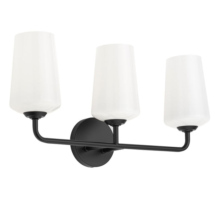 Progress Canada - P300544-031 - Three Light Bath & Vanity - Celino - Black