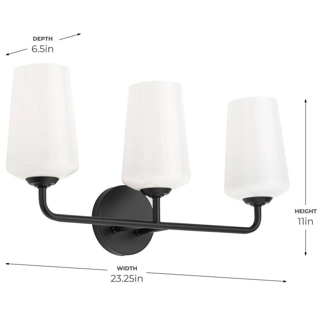 Progress Canada - P300544-031 - Three Light Bath & Vanity - Celino - Black