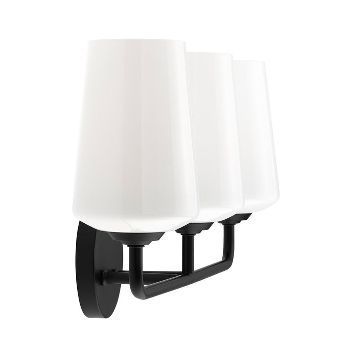 Progress Canada - P300544-031 - Three Light Bath & Vanity - Celino - Black