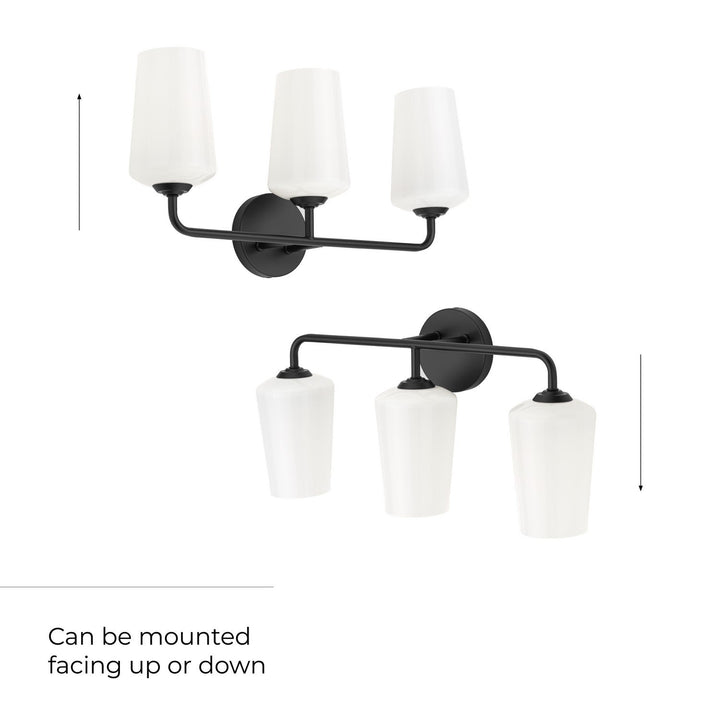 Progress Canada - P300544-031 - Three Light Bath & Vanity - Celino - Black