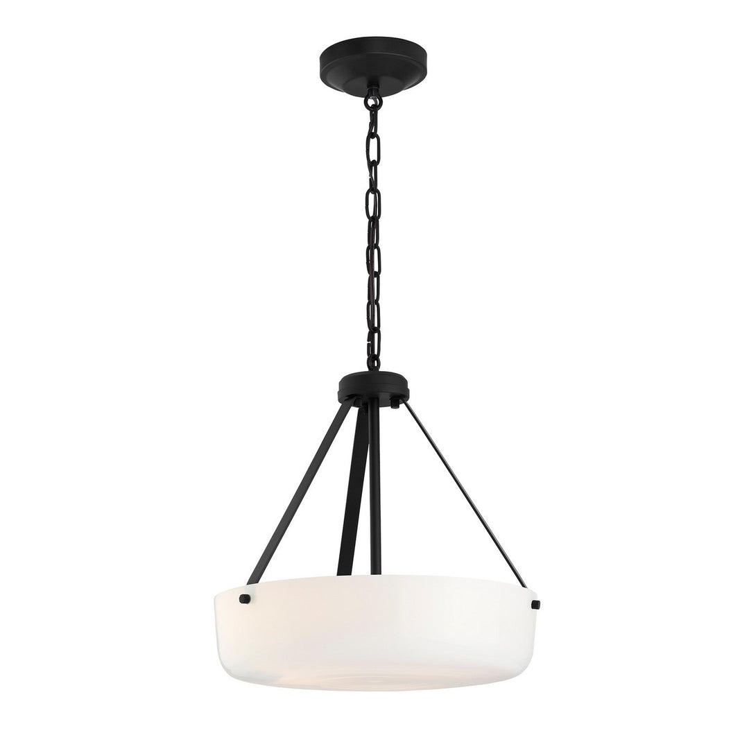 Progress Canada - P500507-031 - Two Light Convertible Pendant - Lieon - Black