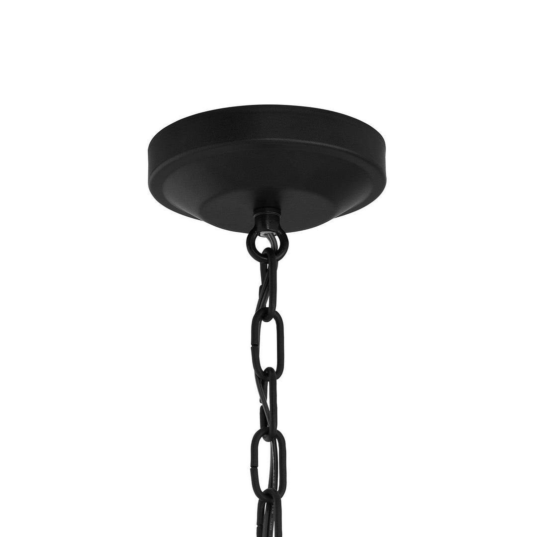 Progress Canada - P500507-031 - Two Light Convertible Pendant - Lieon - Black