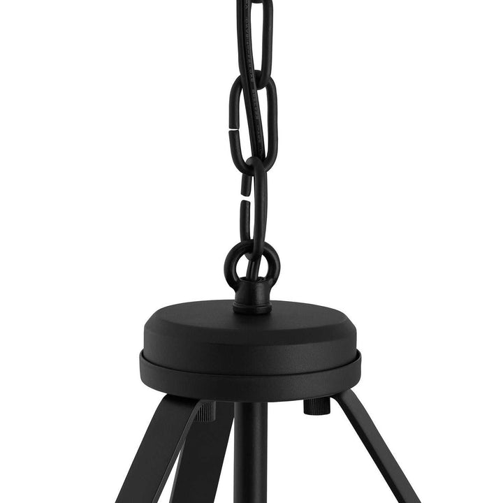 Progress Canada - P500507-031 - Two Light Convertible Pendant - Lieon - Black