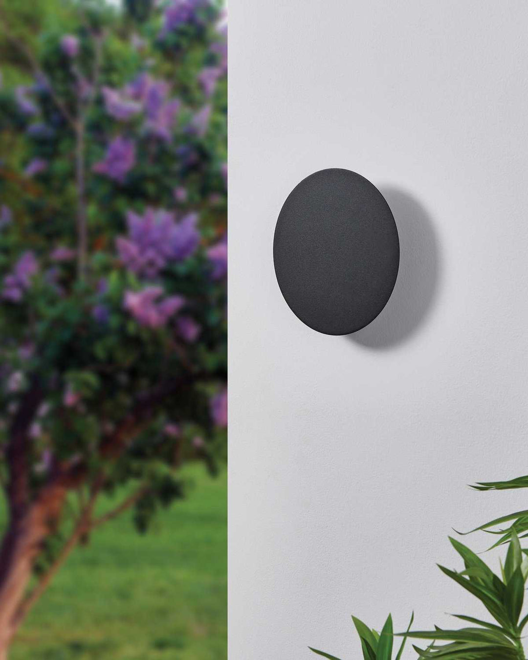 Alamilo LED Wall Sconce in Black Eglo Canada