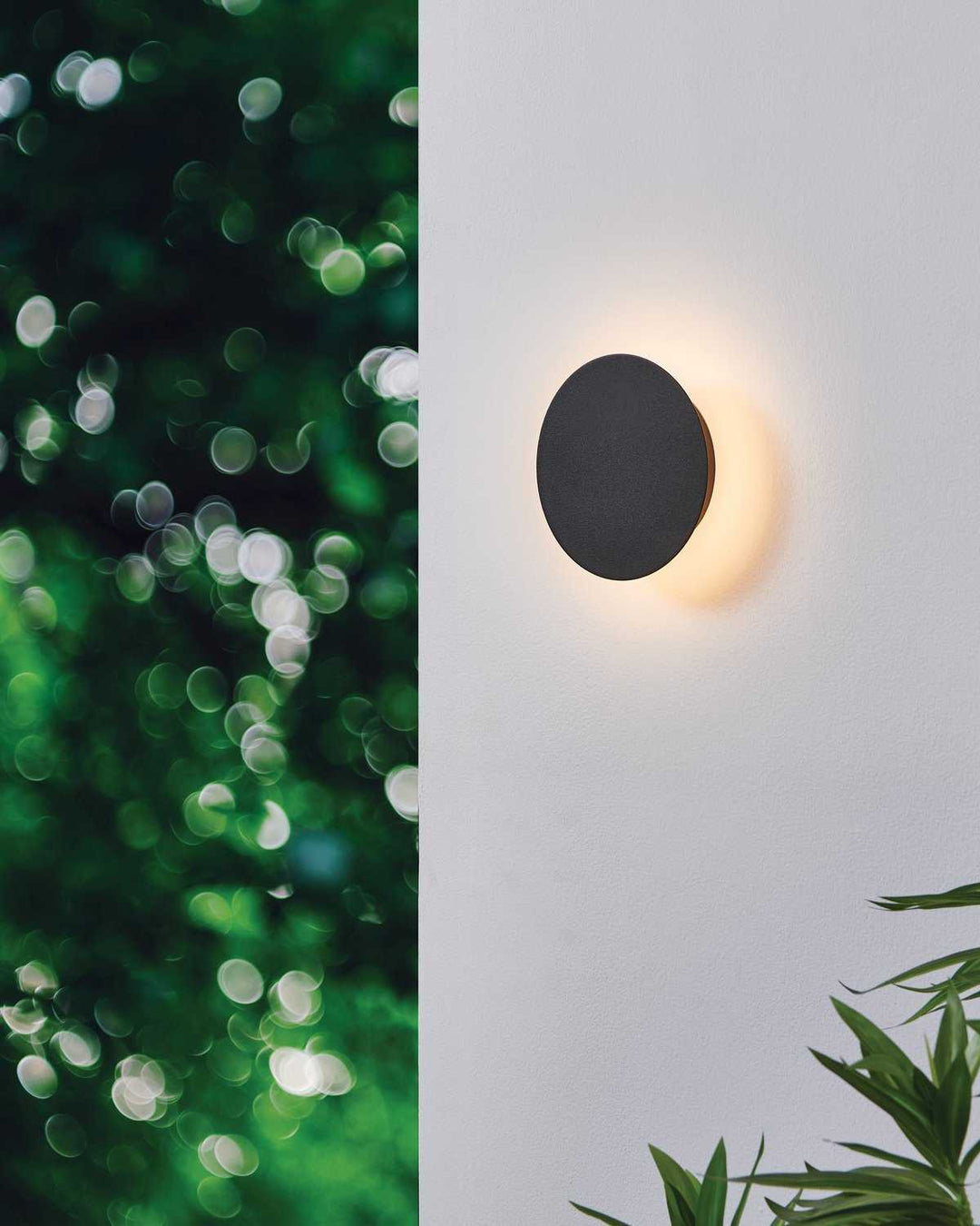Alamilo LED Wall Sconce in Black Eglo Canada