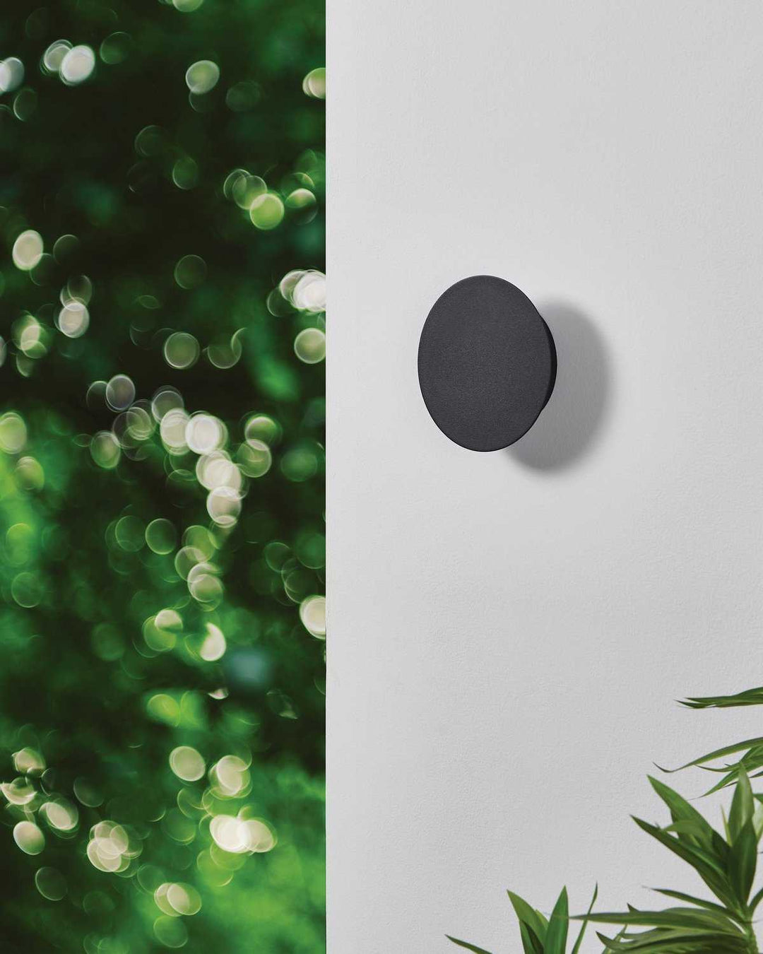 Alamilo LED Wall Sconce in Black Eglo Canada
