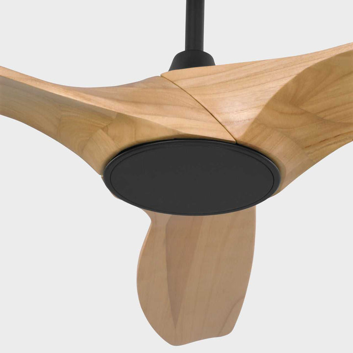 Visual Comfort Fan Canada - 3SLNSM52MBKNHD - 52" Ceiling Fan - Selen - Midnight Black