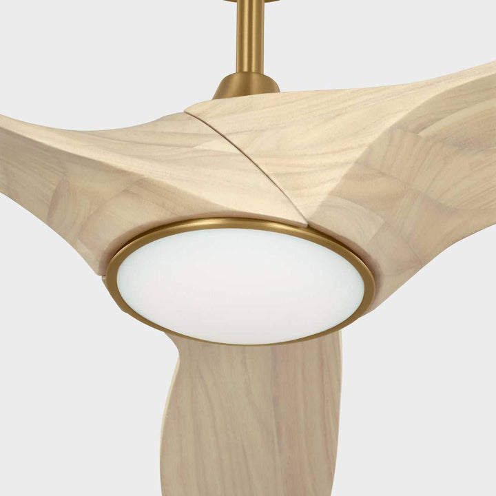 Visual Comfort Fan Canada - 3SLNSM60BBSWWOD - 60" Ceiling Fan - Selen - Burnished Brass