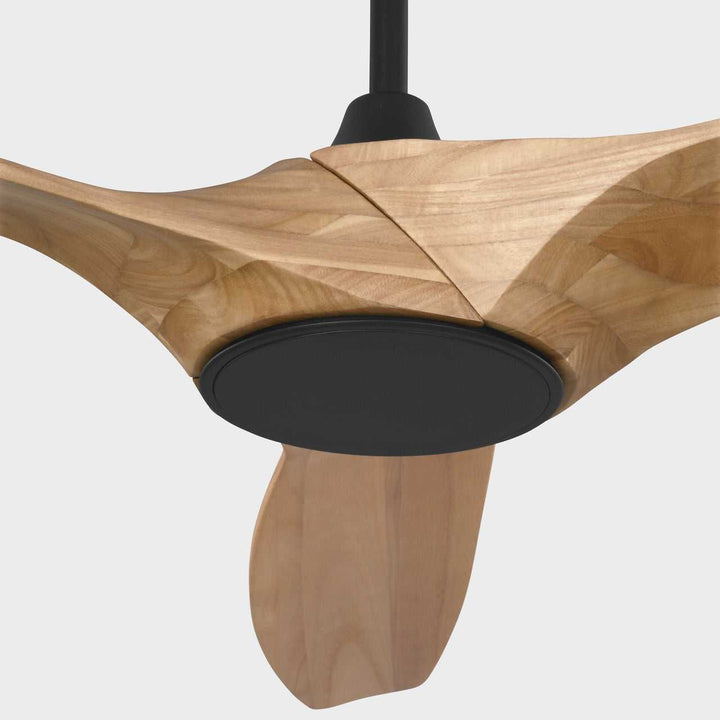 Visual Comfort Fan Canada - 3SLNSM60MBKNHD - 60" Ceiling Fan - Selen - Midnight Black