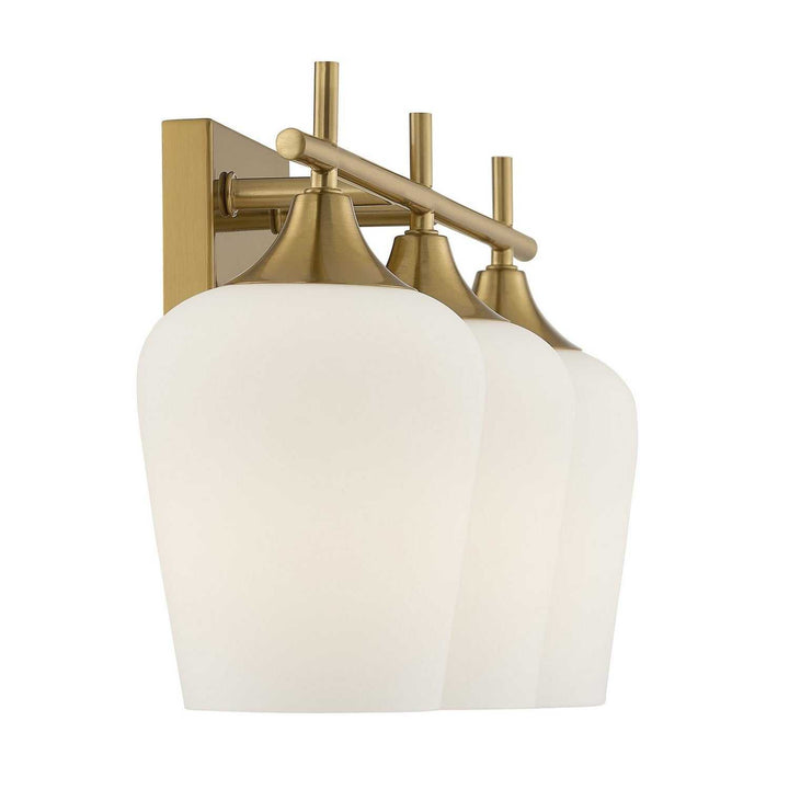 Savoy House - 8-6030-3-322 - Three Light Bathroom Vanity - Octave