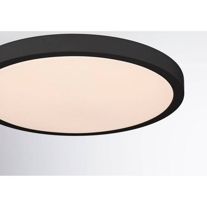 LED Flush Mount in Black Savoy House